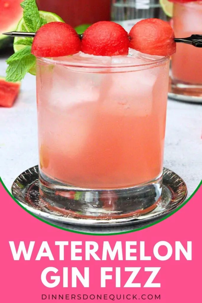 watermelon gin fizz recipe dinners done quick pinterest