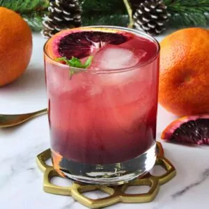 blood orange gin fizz recipe dinners done quick featured image