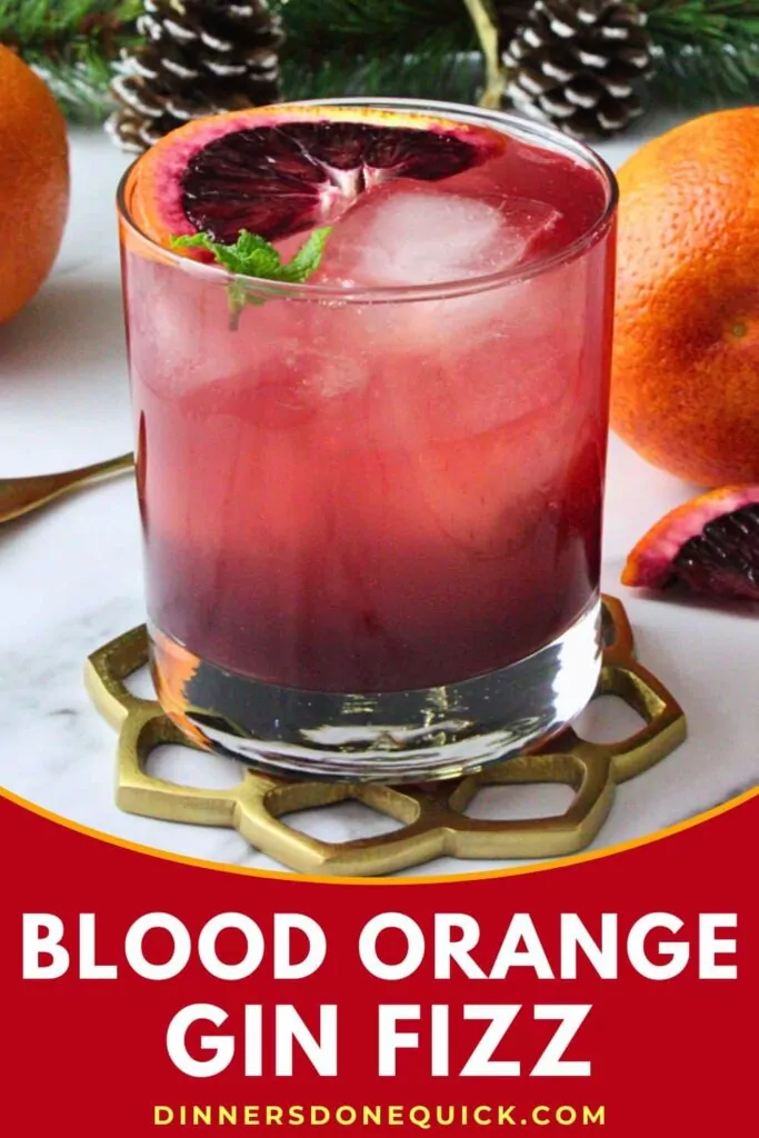 blood orange gin fizz recipe dinners done quick pinterest